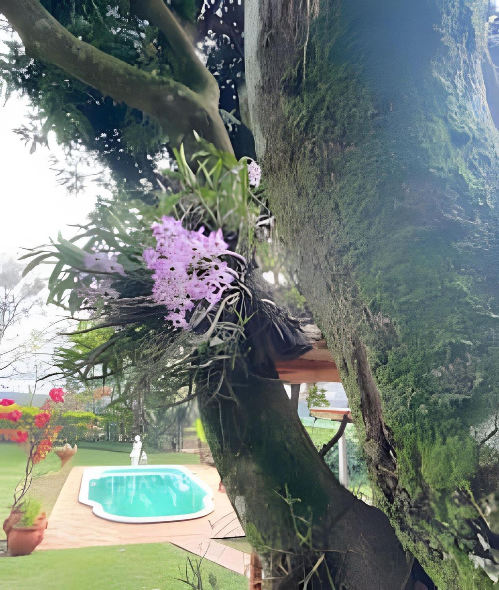Cabanas Con Piscina En La Entrada De Obera Bagian luar foto